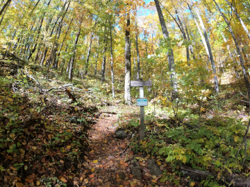 The Appalachian Trail, leads to Ottie's memorial and haunting.
