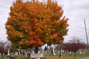 Elmwood Cemetery - Lancaster, Ohio