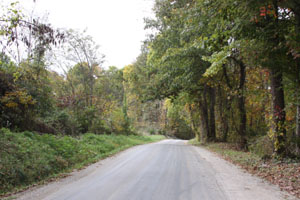 Old Baptist Cemetery Road