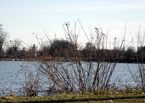 Bay View Shoreline Ghost