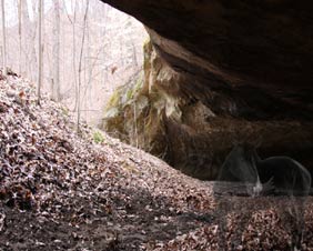 Ohio's haunted hikes: Haunted hiking trail to a cave.